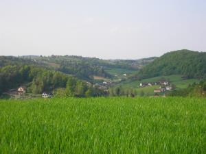 Kripta 032